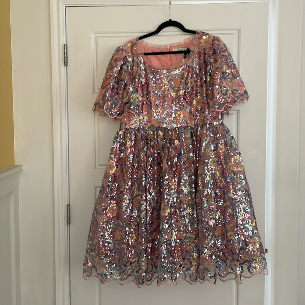 Jessakae xxl dress. Pink with blue, yellow and pink sequin designs. NWT